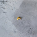 Alluvial Gold